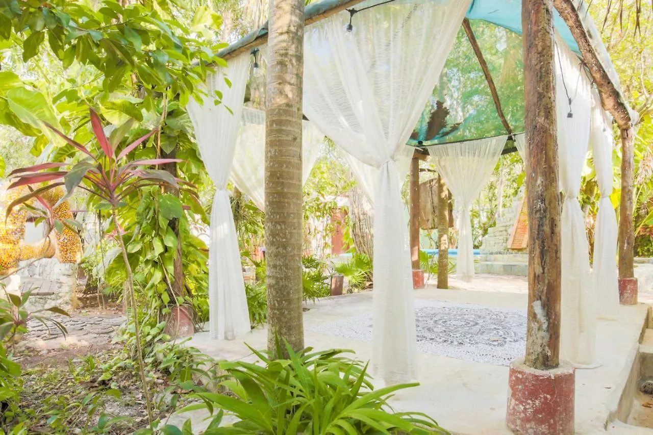 Oma Cancun - Holistic Healing Center
