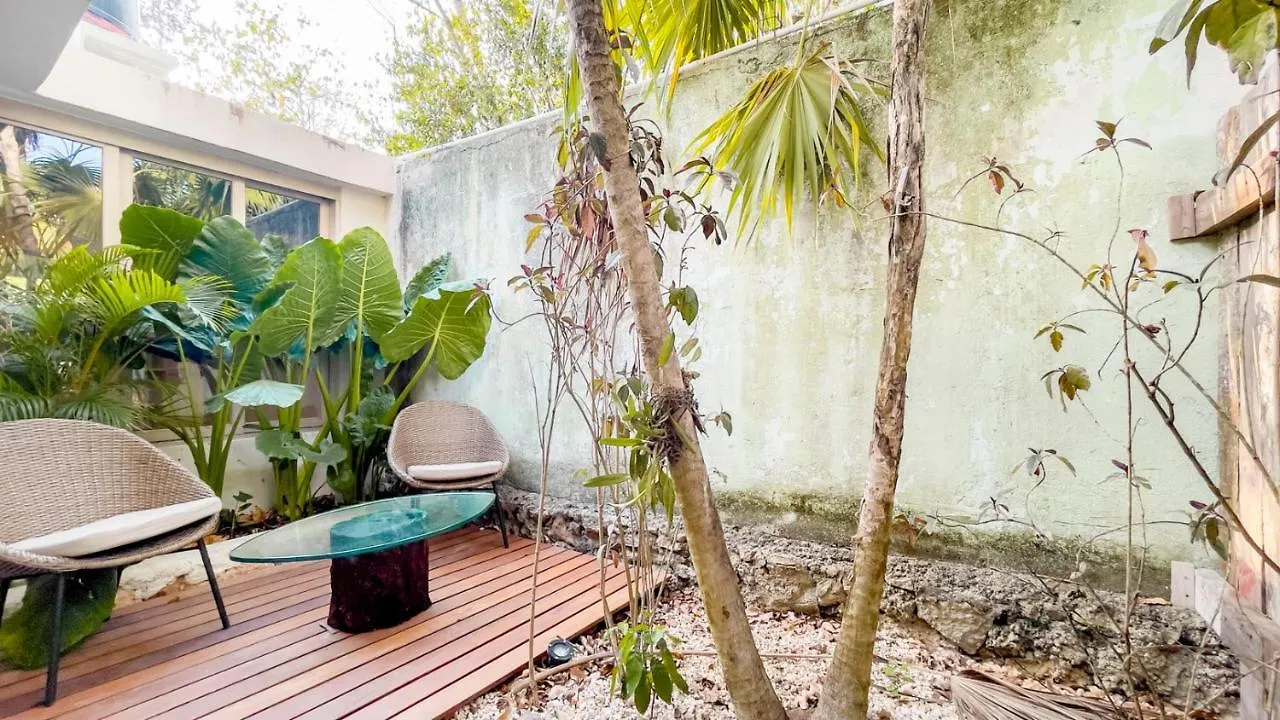 Oma Cancun - Holistic Healing Center 0*,