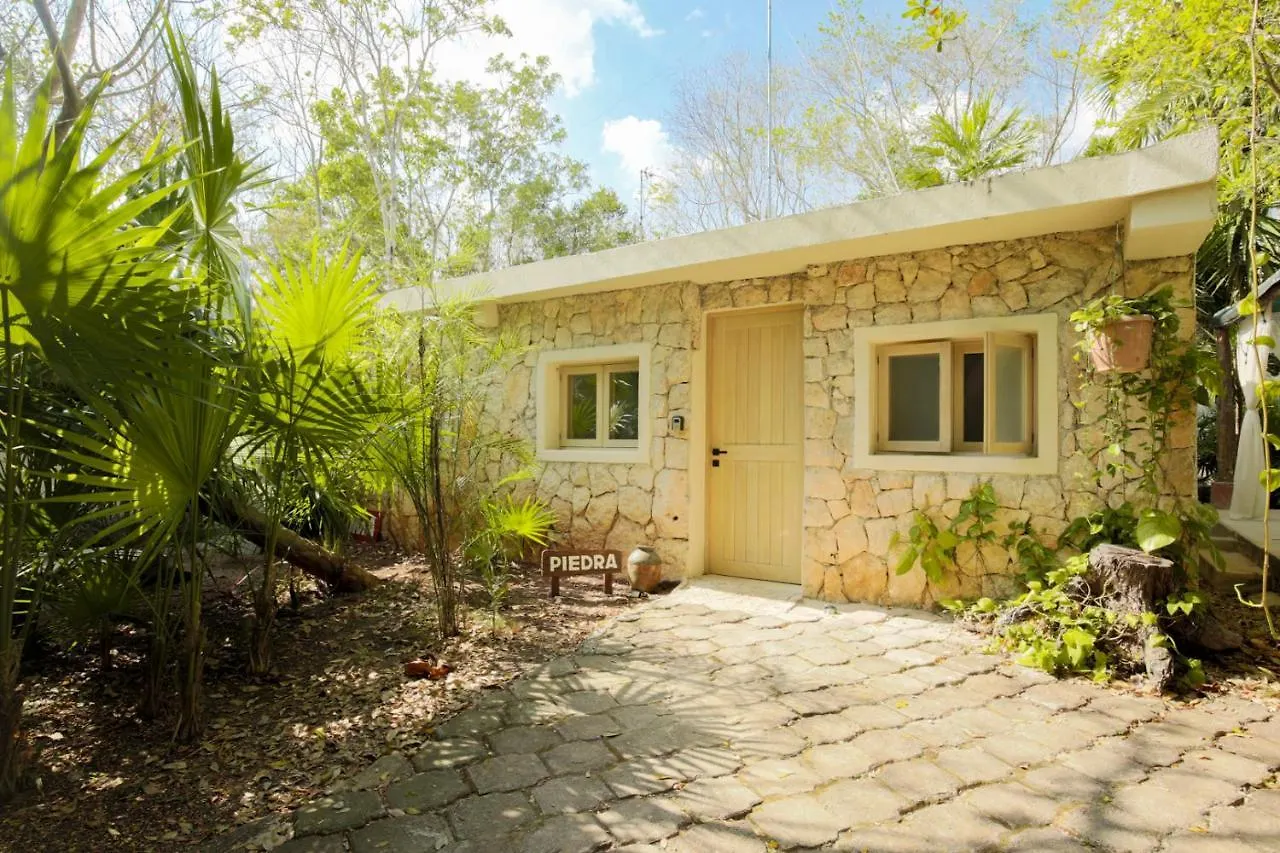 Oma Cancun - Holistic Healing Center