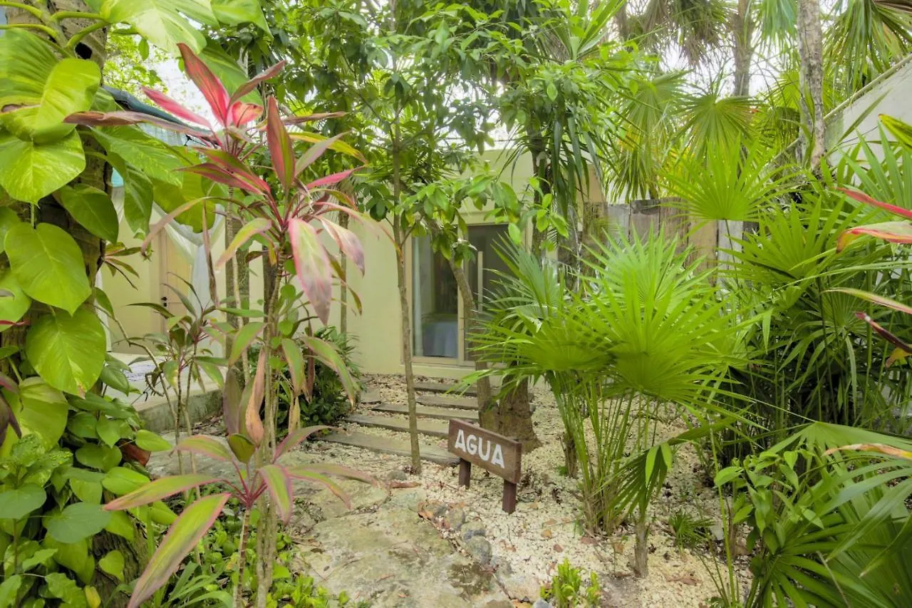 Oma Cancun - Holistic Healing Center Apartament