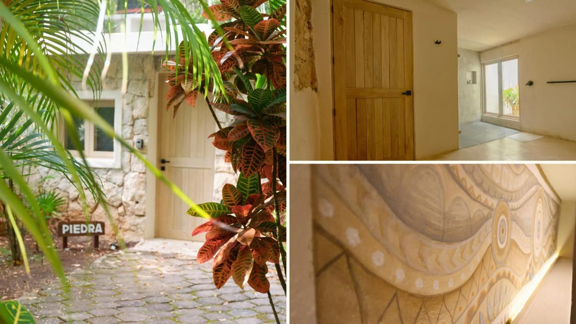 Oma Cancun - Holistic Healing Center Mexico